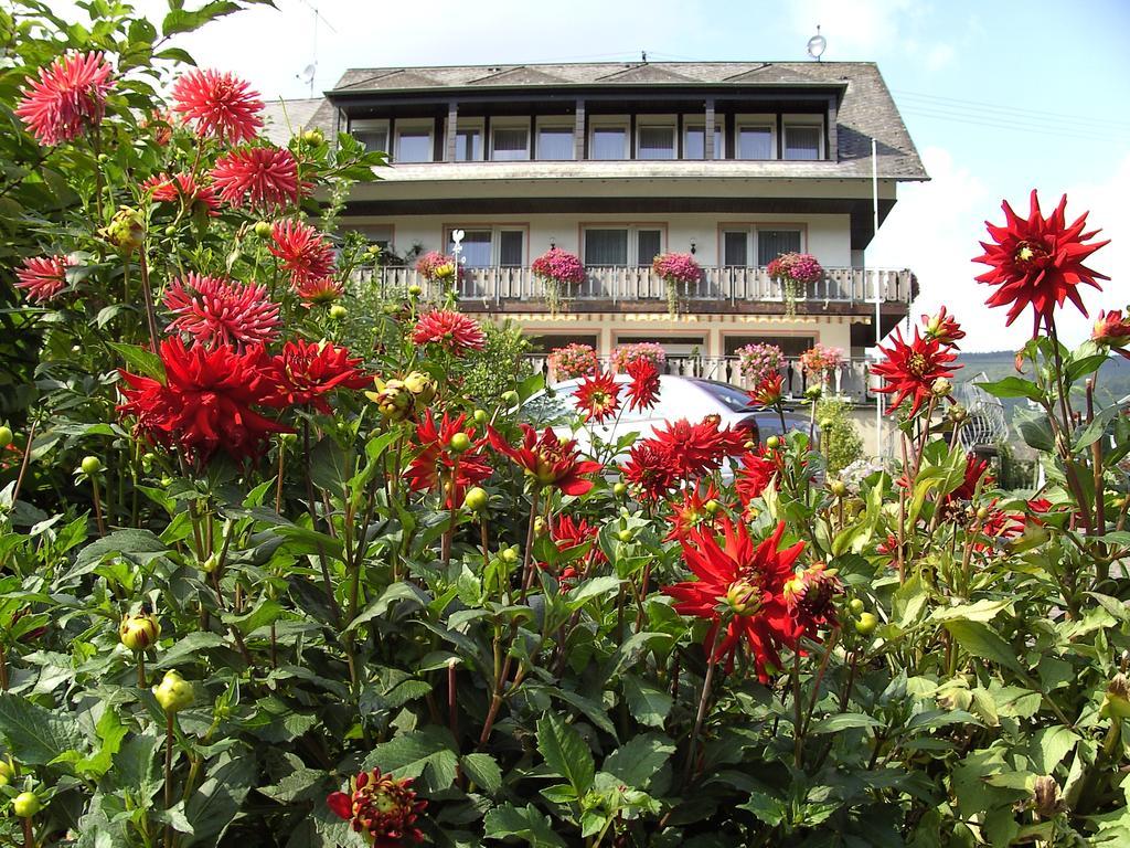 Haus Klosterblick Kröv Εξωτερικό φωτογραφία